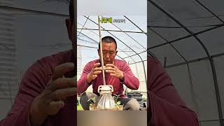 생수병으로 채소 키우기 팁! 좋아요와 공유 부탁드려요! #GardeningTips #DIY #채소키우기 #생수병활용 #텃밭가꾸기