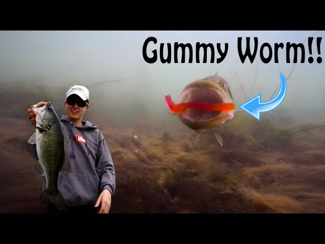 Bass Fishing with Gummy Worms!! Underwater Gummy Bites