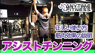 背中の筋トレ！】アシストチンニングの正しい使い方や筋肉効果の説明