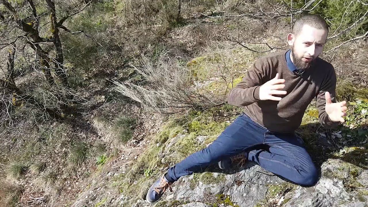 Les cupules | Savoir Est Un Devoir #12