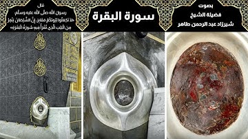 سورة البقرة بصوت فضيلة الشيخ  شيرزاد عبد الرحمن طاهر SURAH BAQARAH