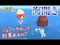 【あつまれどうぶつの森】海開きで素潜り解禁!ラコスケ出現条件&海の幸16種の値段&シュノーケル効果検証【あつ森】