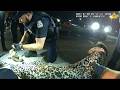 He Robbed a Pet Store and Hid MICE IN HIS PANTS?! | Police Bodycam🐭 #bodycam  #cops  #police #arrest