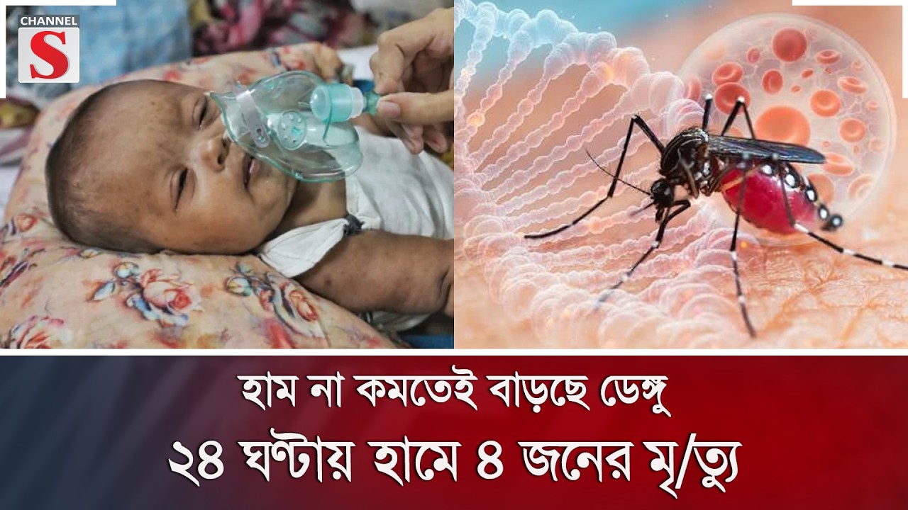 হাম না কমতেই বাড়ছে ডেঙ্গু, ২৪ ঘণ্টায় হামে ৪ জনের মৃ/ত্যু | Channel S News