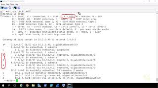 258. Routing Protocol Codes