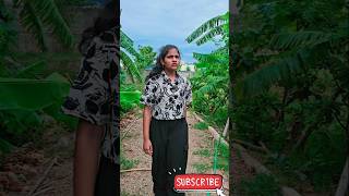 Mango  Dont Cry   monikaprabhu  shorts  Monika Prabhu