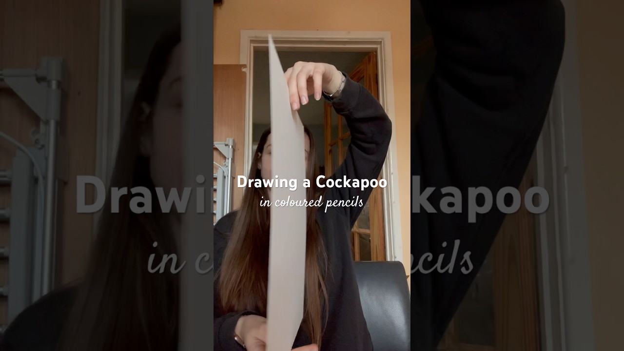Cockapoo Drawing Tutorial