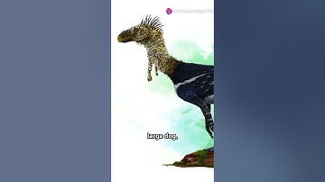 The Discovery Of Asilisaurus #shorts #short #video #videos #world #history