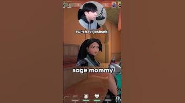 how COD players view VALORANT