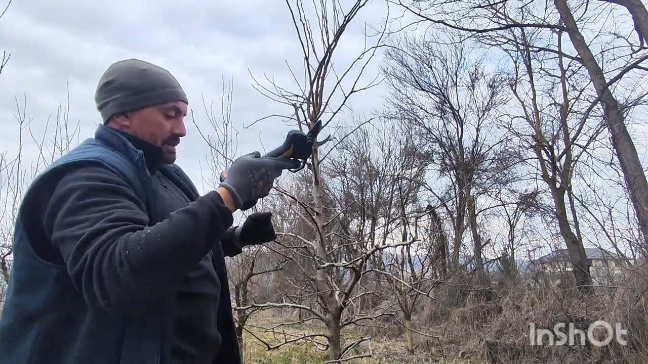 O livada pe care am luat-o in lucru acum 4 ani ,am reușit să finalizez forma de conducere 🍒🫐🍑🍐🍎🍏✂️