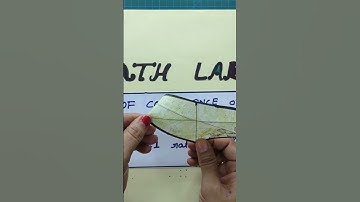 #centroid of a Triangle.