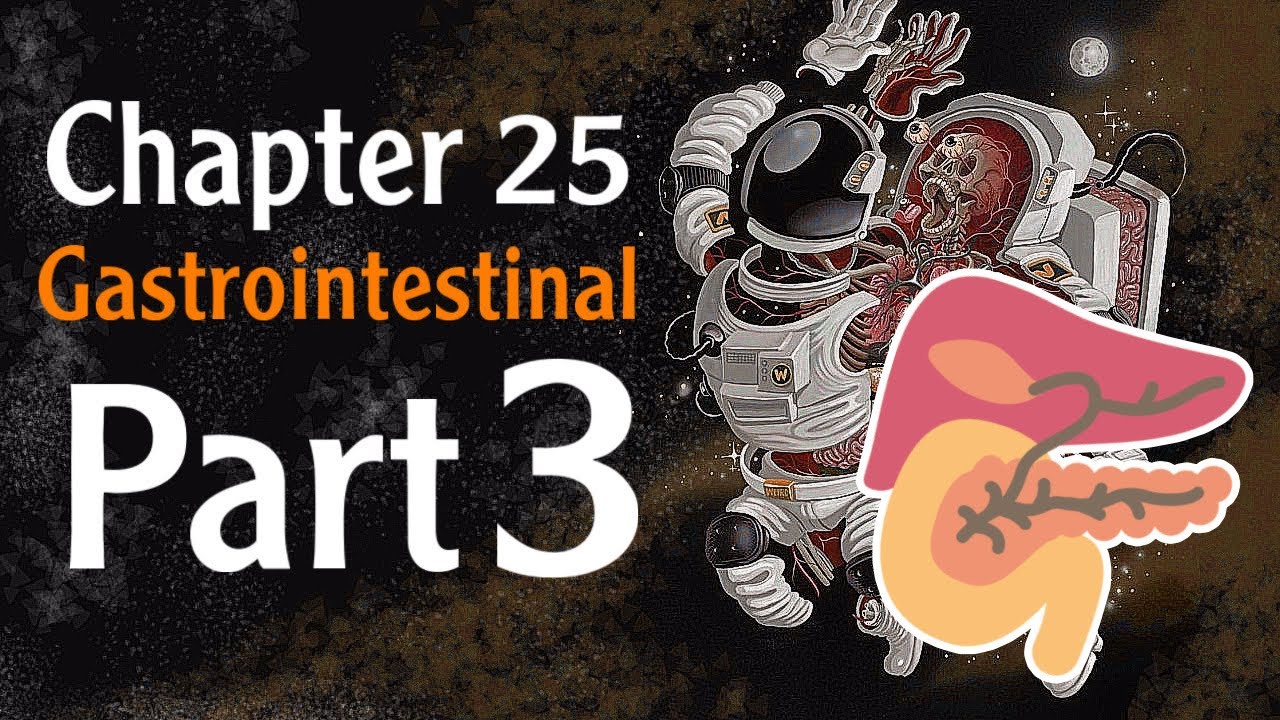 Physiology Chapter 25 pancreatic & biliary secretions part 3 ( فسلجة وزاري )