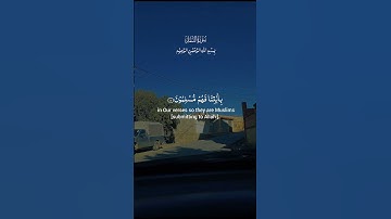 تلاوة عطرة لآيات من كتاب الله #القرآن_الكريم #foryou #اكسبلور #راحة_نفسية #viral #fyp