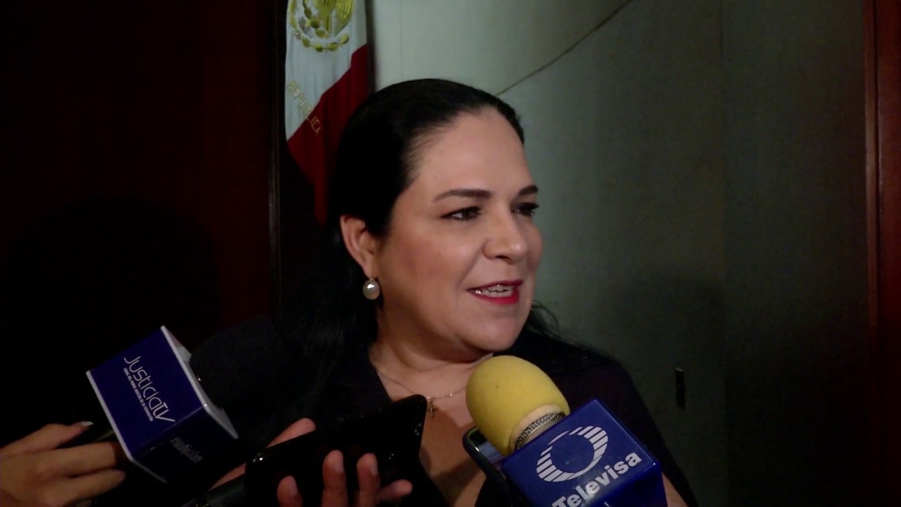 Entrevista a la presidenta de la Mesa Directiva, Mónica Fernández senador kahulugan