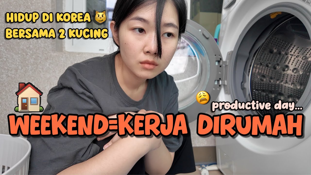 A day in my life Ngekos di Korea