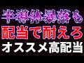 半導体暴落も配当で耐えろ！オススメ高配当銘柄