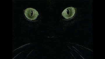 Astrud Gilberto - How Insensitive