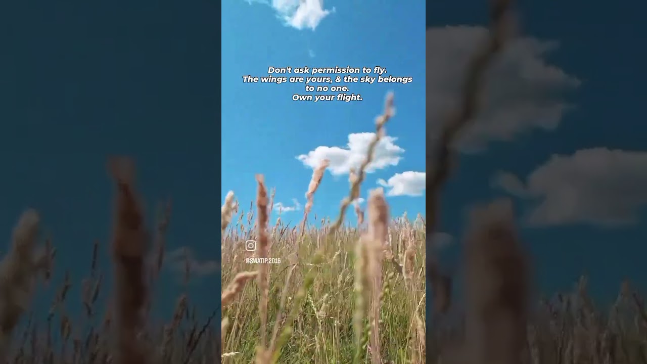 The sky is limitless, spread your wings and fly high.