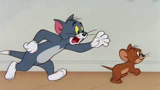 Tom And Jerry Crazy Chase Story Kids Cartoon Compilation