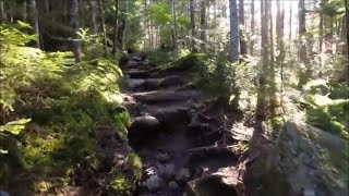 Hiker hears terrifying whistling sound while hiking up Mount Washington