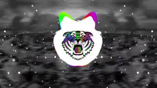 Lil Wayne - Tunechi Rollin' [Bass Boosted] Profile