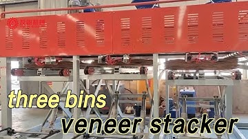 Efficient Three Bins Veneer Sorting Machine Line | Precision Plywood Veneer Sorting Solution