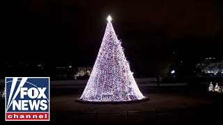 National Park Service, National Park Foundation hosts tree lighting ceremony