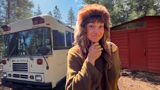 School Bus Conversion Vs My Off - Grid Cabin