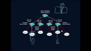 802 1Q Trunking
