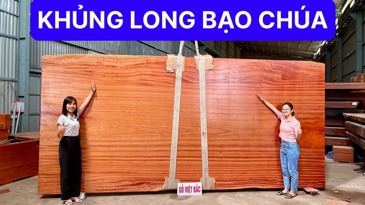 BẤT NGỜ TRƯỚC TẤM GỖ HƯƠNG