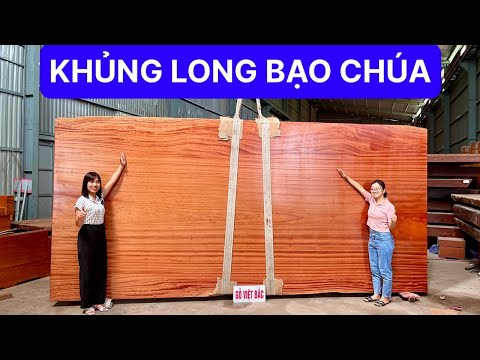 Video BẤT NGỜ TRƯỚC TẤM GỖ HƯƠNG 