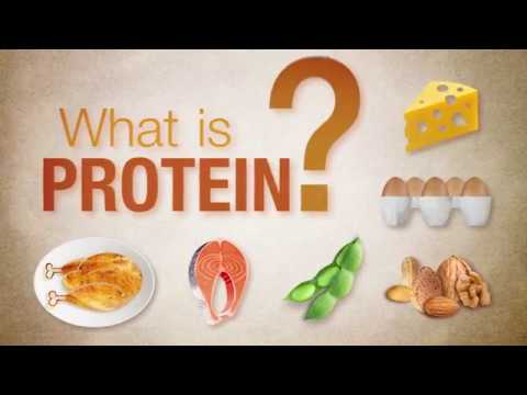 What is protein?