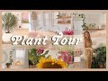 HOUSE PLANT TOUR | favorite indoor plants, spring garden highlights, &amp; natural fertilizer ideas 🌿