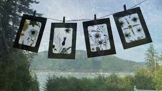 NATURE CRAFT FOR KIDS - SUNCATCHERS