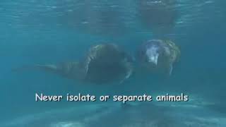manatee rules