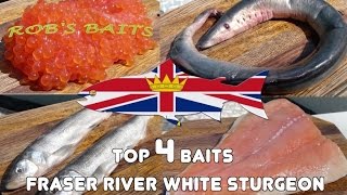 How To Fish Tutorial - Sturgeon Fishing Top 4 Baits 