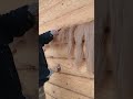 правильная конопатка + качественный материал = тепло и долговечность (1 часть)