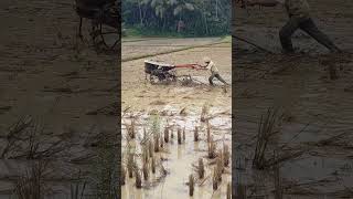 Download Lagu Traktor Milik Petani di Batukaras MP3