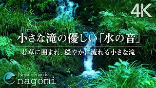 【森の音/睡眠】小さな滝の優しい水の音・鳥のさえずり｜勉強・リラックス・癒し・睡眠BGM｜自然音/ASMR