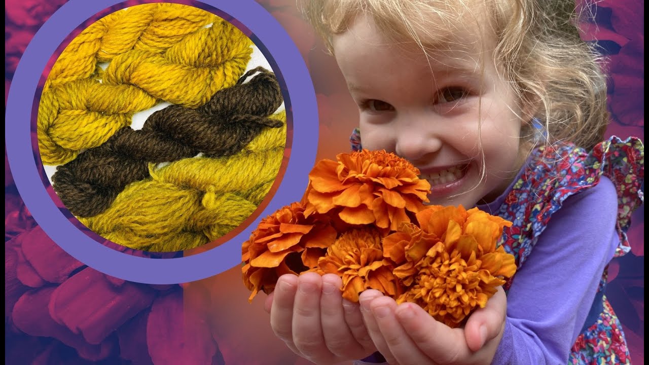 Как покрасить волосы бархатцами: насыщенные цвета из сада @WildcraftDyeing