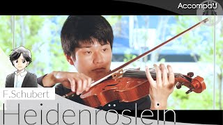 Heidenröslein -Viola F.schubertrecital Version