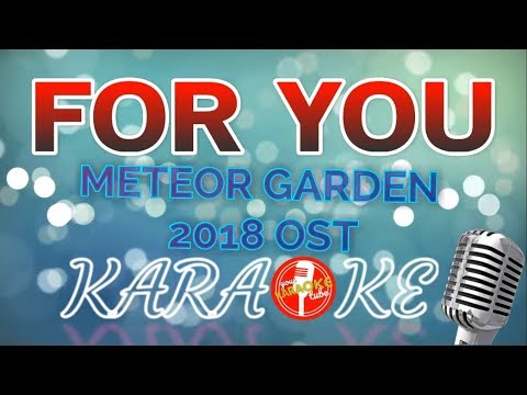 FOR YOU Meteor Garden 2018 OST lyrics (KARAOKE VERSION)