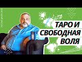 ТАРО И СВОБОДНАЯ ВОЛЯ🤯🤔 | БЕСЕДЫ О ТАРО