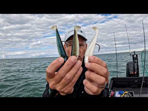 Which Classic Lure Colour Do Bass Really Prefer?