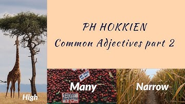 Learn Philippine Hokkien (Fookien) Ep. 14 Common Adjectives Part 2