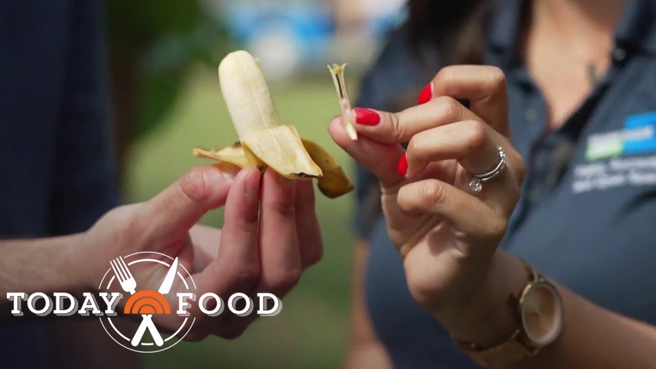 How This Public Garden in Florida Offers a Taste of the Globe