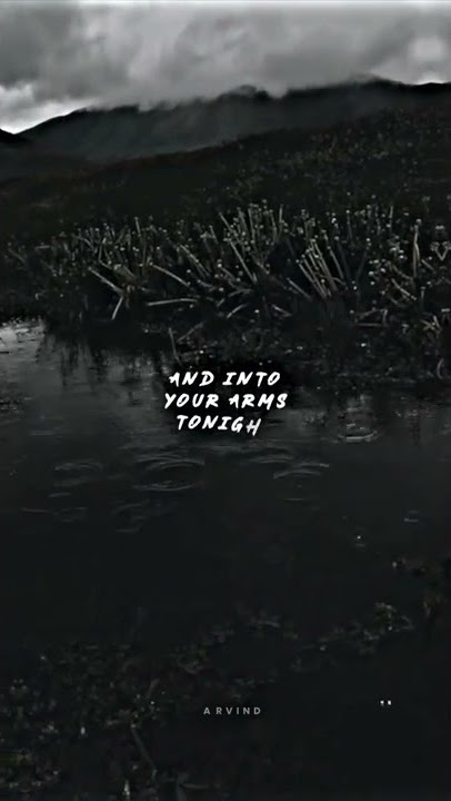 INTO YOUR ARMS TONIGHT WHATSAPP STATUS || INSTA STORY || LYRICAL.LOFI
