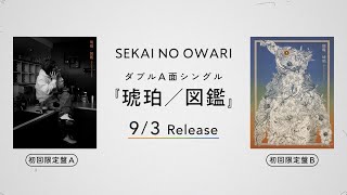 Download Lagu New Sg 「琥珀/図鑑」【初回限定盤 商品映像】 MP3 Download Lagu New Sg 「琥珀/図鑑」【初回限定盤 商品映像】 MP3