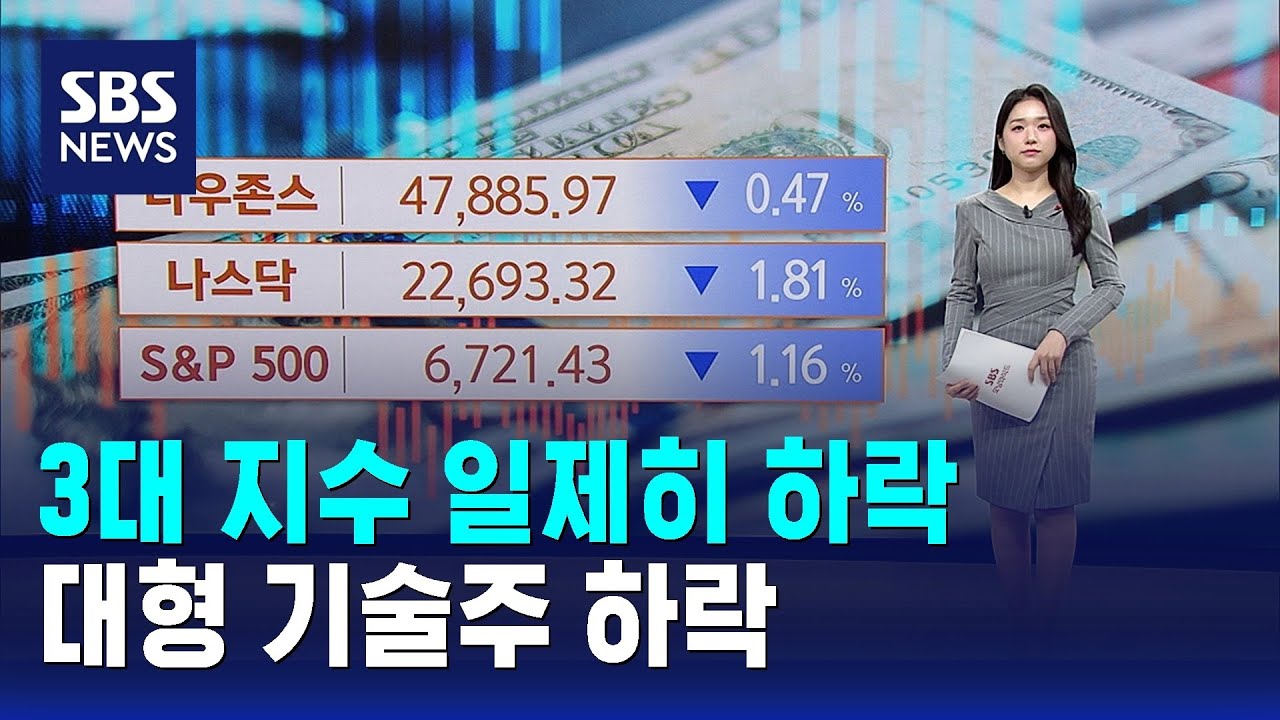 3대 지수 일제히 하락…대형 기술주 하락 / SBS / 뉴욕증시