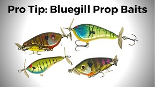 Pro Tip: Bluegill Prop Baits